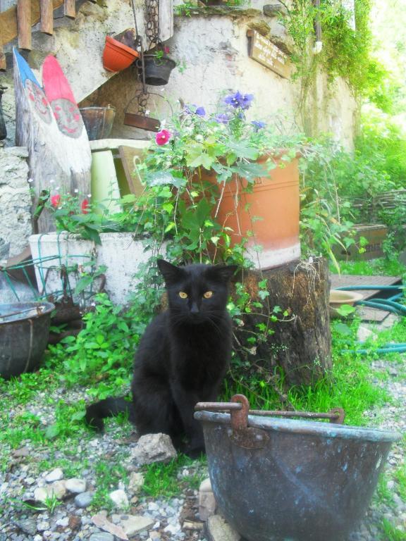B&B Il Gatto Nero Castelveccana Exteriör bild