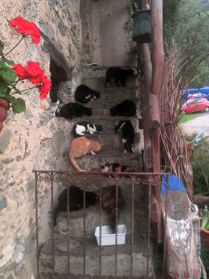 B&B Il Gatto Nero Castelveccana Exteriör bild