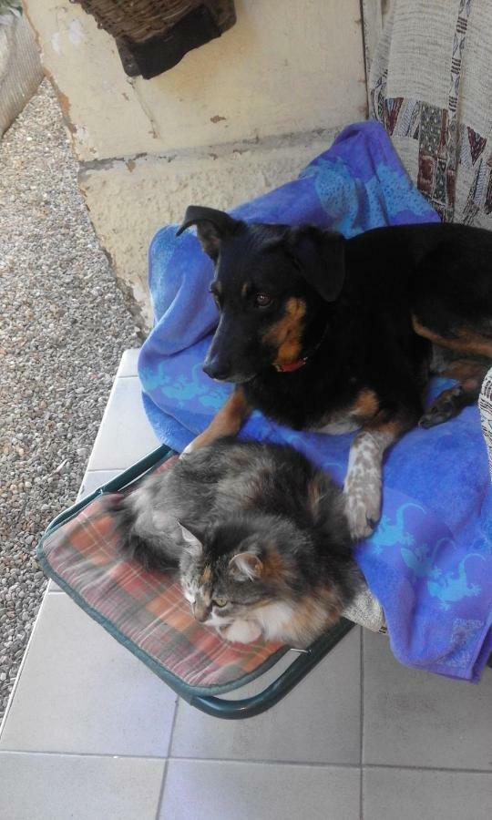 B&B Il Gatto Nero Castelveccana Exteriör bild